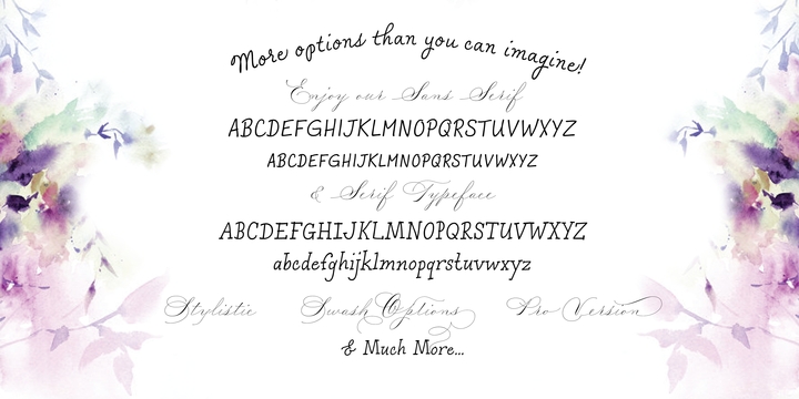 Madison Street Stylistic Font preview